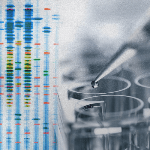 Laboratory equipment and samples