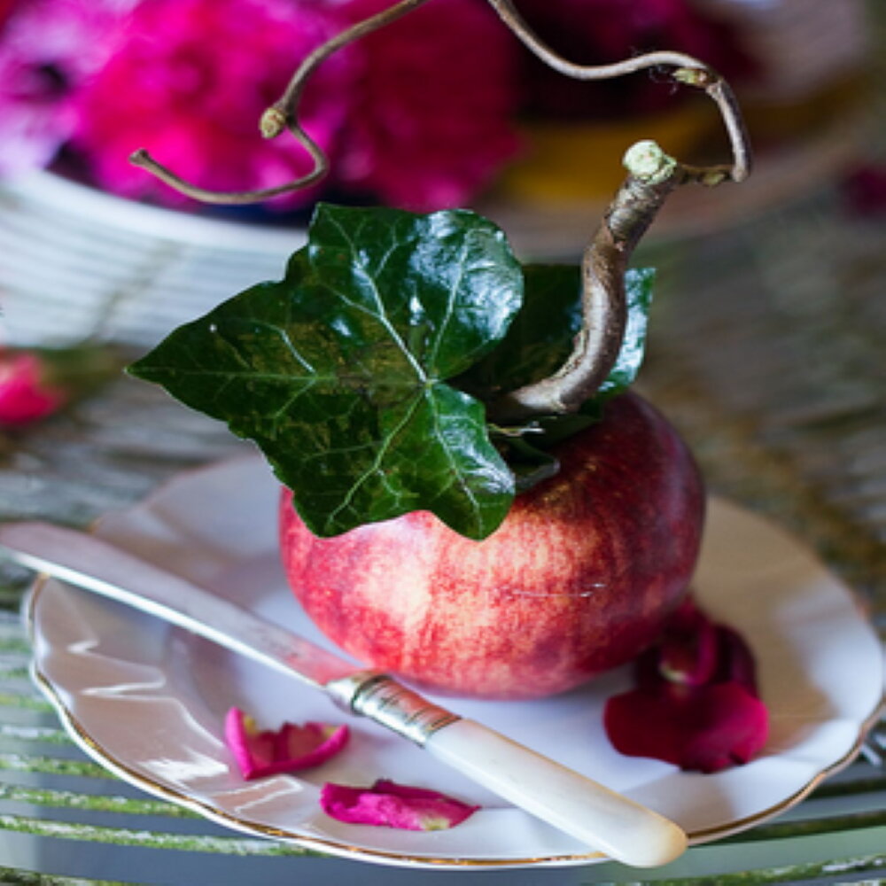 apple place setting