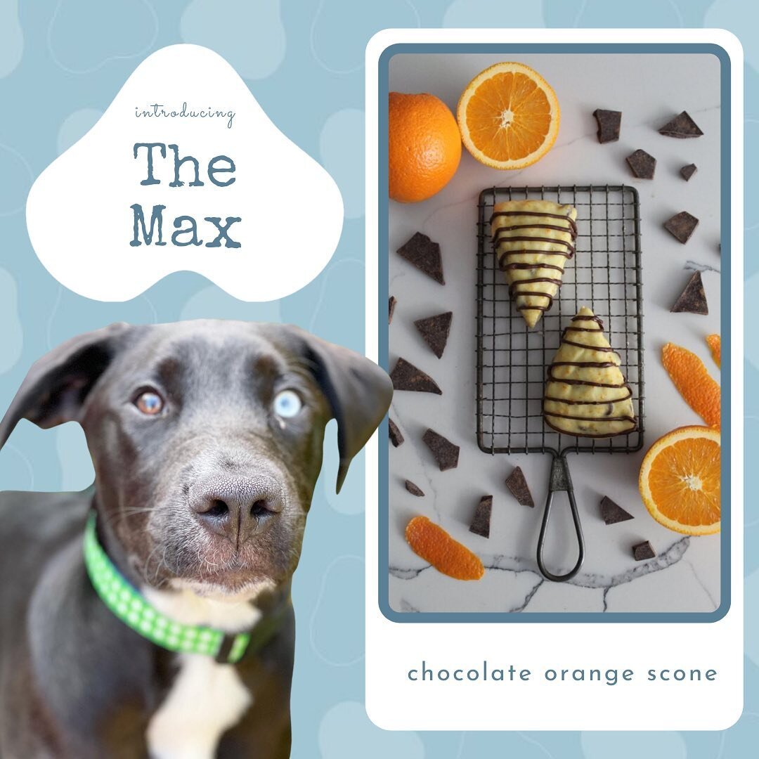 Our final flavor release this week is a delicious new addition to our lineup - Chocolate Orange aka &ldquo;The Max&rdquo;! 🍊 🍫 

Max is a nine month old &ldquo;Mississippi Mutt&rdquo; who found his way to Fairfax, VA through @wolftrapanimalrescue ?