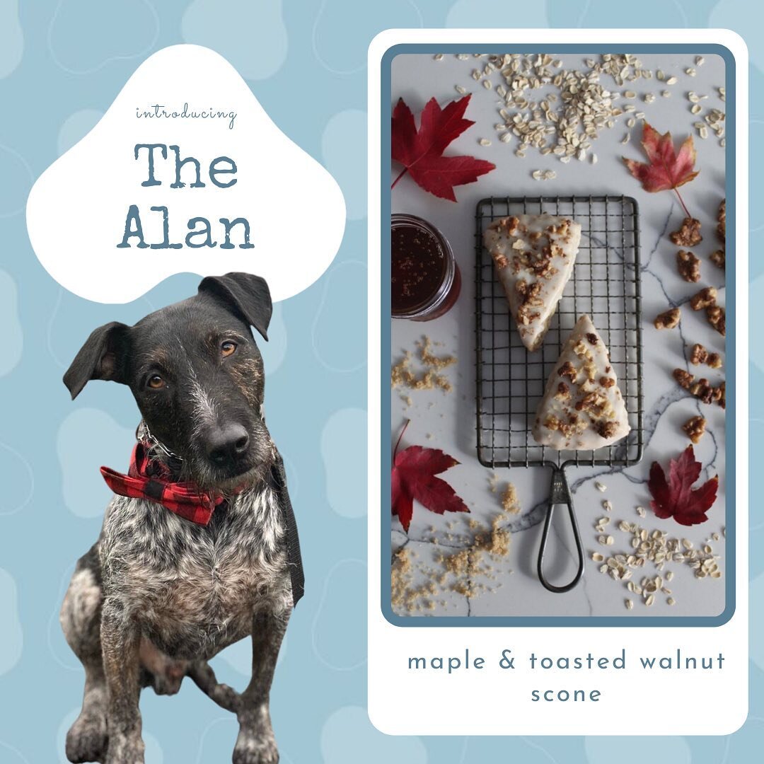 Our eighth flavor release this week is NEW to our lineup and just in time for fall - introducing Maple &amp; Toasted Walnut aka &ldquo;The Alan&rdquo;! 🍁 

Alan is a 3.5 year old wirehaired pointer/pittie mix, though his humans are convinced he migh