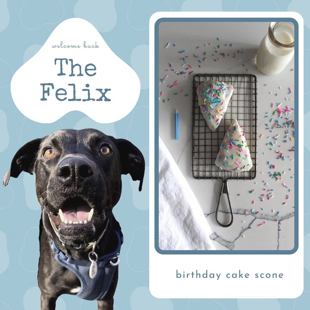Did you know this month marks ONE YEAR of Sit Stay? That&rsquo;s like seven years in dog years! 🐶 We&rsquo;re using our sixth flavor release this week to celebrate - Birthday Cake aka &ldquo;The Felix&rdquo;! 🥳🎂

Felix is a five-year-old &ldquo;mi