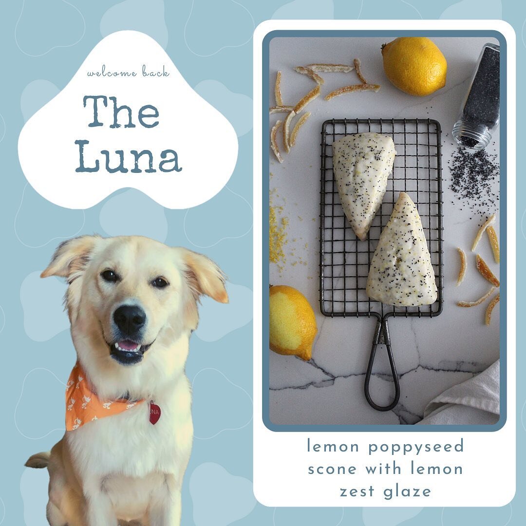 Our fifth flavor release this week is Lemon Poppyseed &ndash; aka &ldquo;The Luna&rdquo; 🍋 🐕 🌙 

Luna is a two-year-old Golden Retriever/Border Collie mix who found her mom, @lizydent26 through @dcluckydog 💕

While you might find her sniffing out