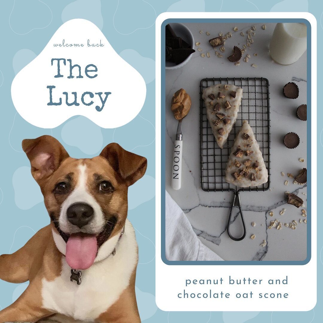 Our fourth release this week is an homage to (the best) Halloween candy - Reese&rsquo;s aka &ldquo;The Lucy&rdquo;! 🥜 🍫 

Lucy is a boxer/pitbull mix who found her family through the Cleveland Tennessee Animal Control. She was only a pup at the tim