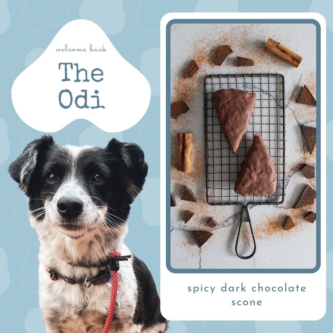 Our third flavor release this week packs a little heat 🔥Spicy Dark Chocolate - aka &ldquo;The Odi&rdquo; 🍫 🌶 

Odi is a diplomatic pooch who found his family through the @jakartaanimalaidnetwork aka &ldquo;JAAN&rdquo; in Indonesia 🇮🇩 

JAAN is c