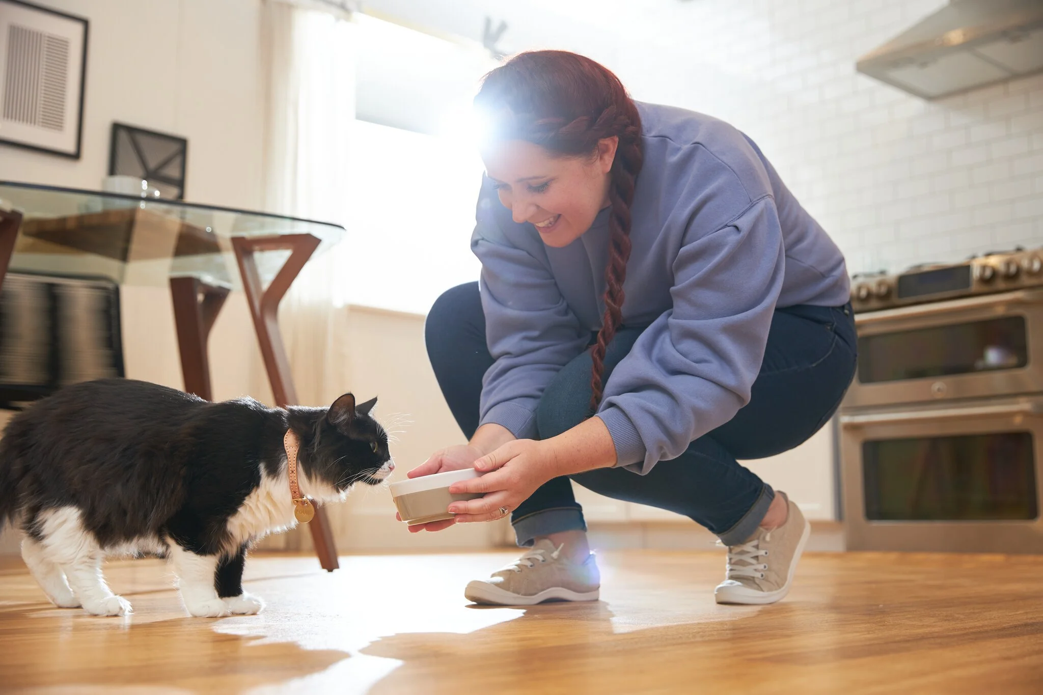 Premium_LandingPage_SiteAssets_Human_Feeding_Cat_JM_385.jpg