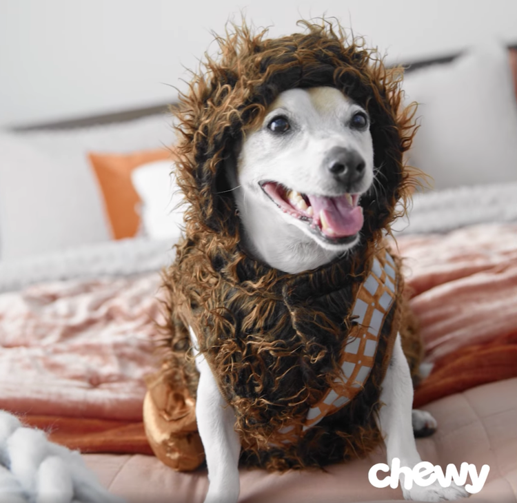 StarWars_Snoopy_1.webp
