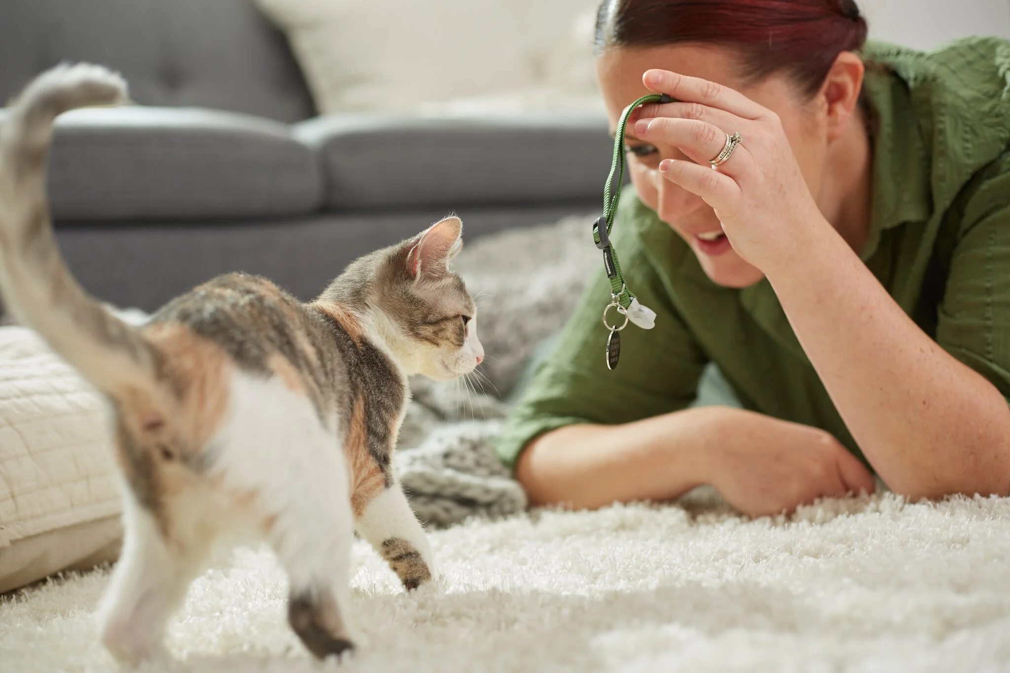 161198_NewPetCampaign_Cat-15.jpg