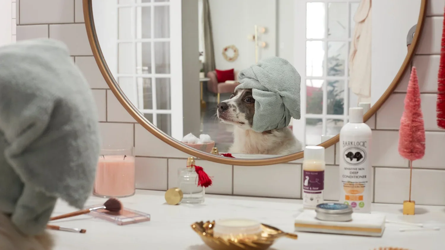 Blog_Dog_Winter_Skincare_+34.webp