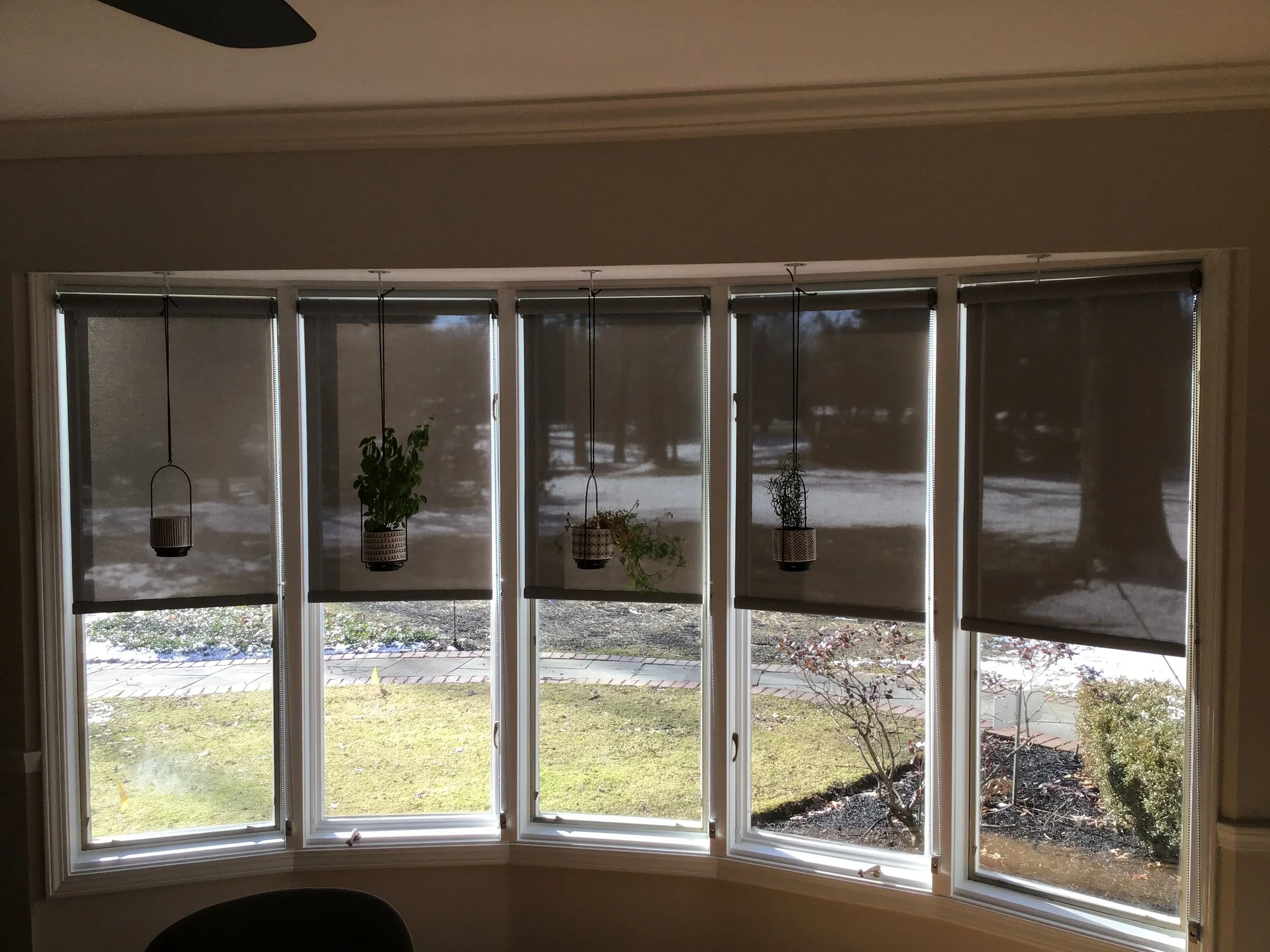 Solar shades