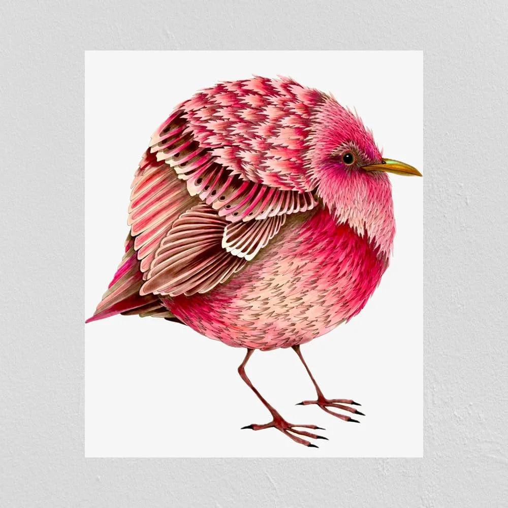 Rose Finch
