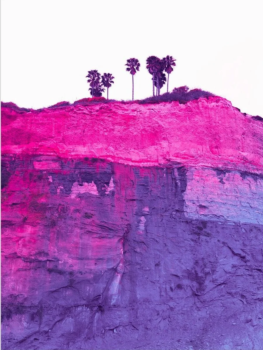 Purple and magenta coastal cliffs beneath palm trees in Palms (Black’s Beach, CA) by Tommy Kwak.