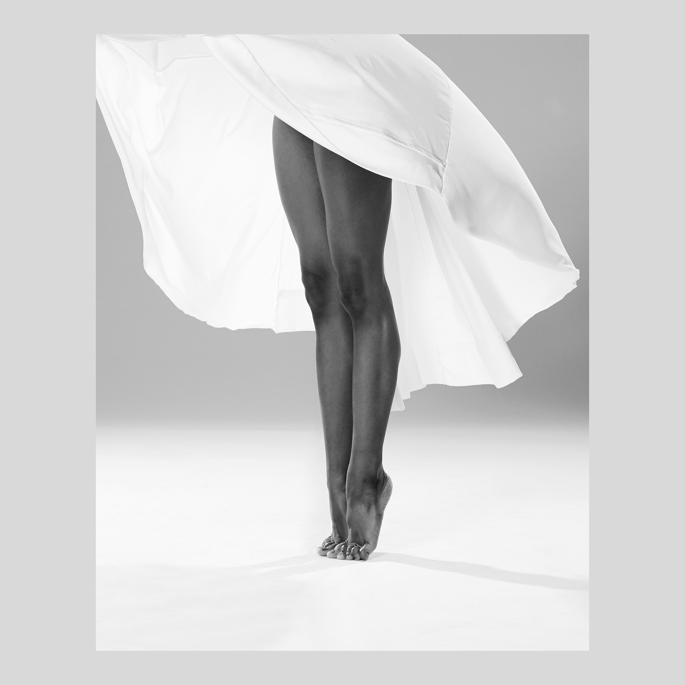 Legs