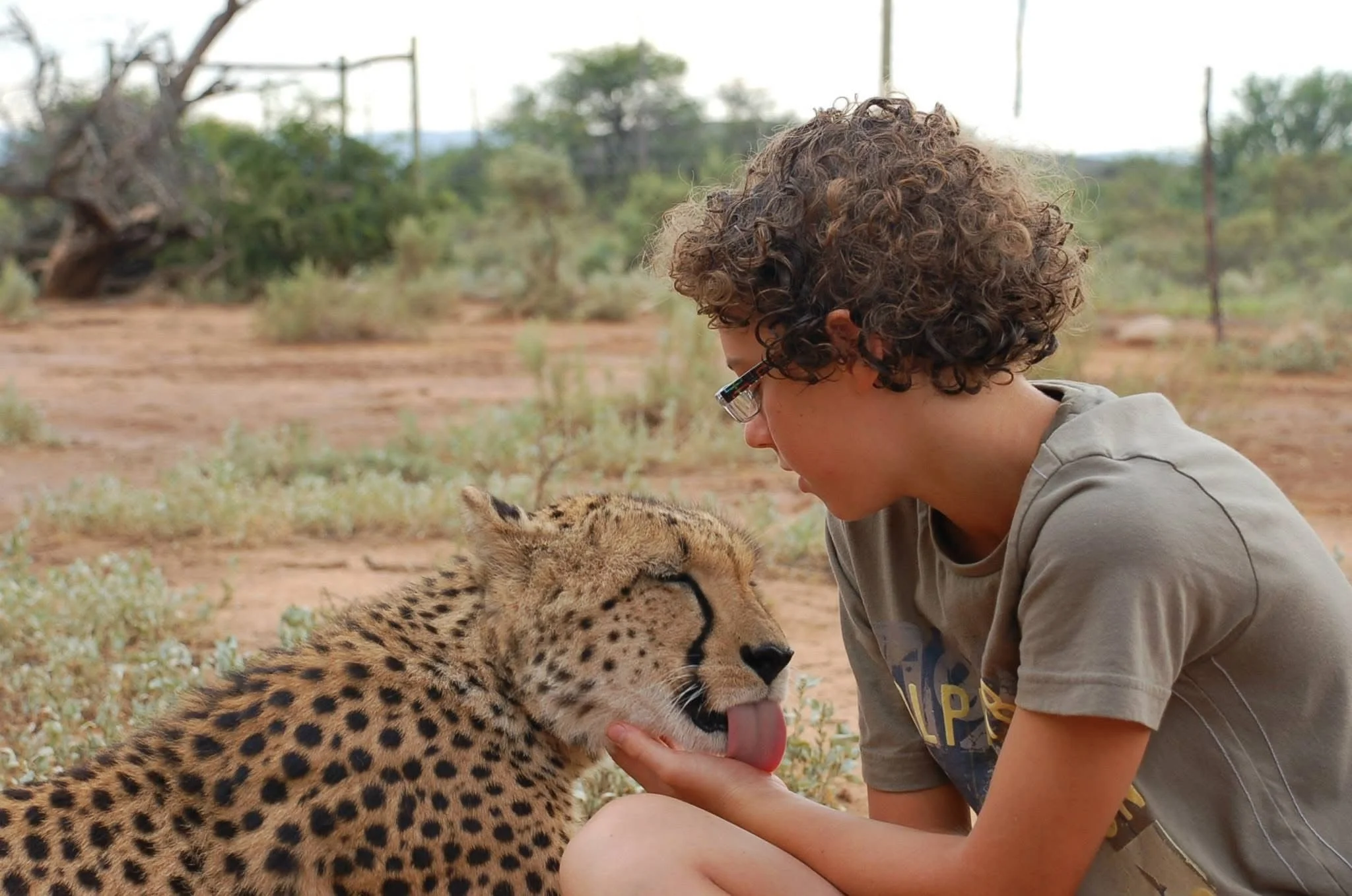 Dex’s Exhibition & Fundraiser:  From Artist to Game Ranger - both Studios