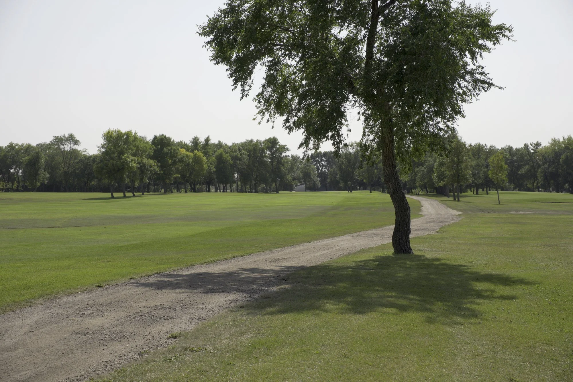 Golf Course3.jpg