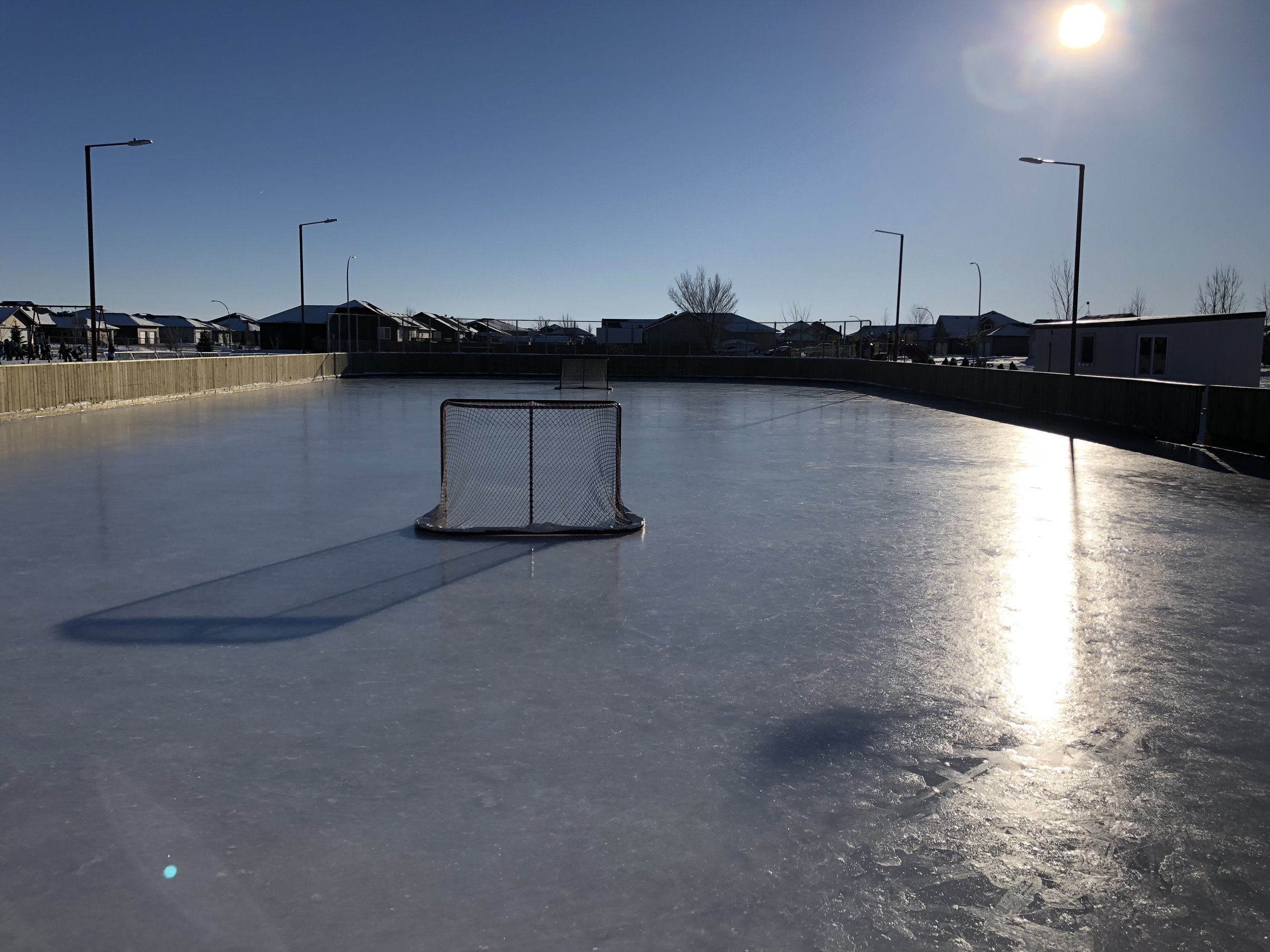 An outdoor ice skating rink with a small hockey goal in the center, surrounded by a wooden fence, under a clear blue sky during sunlight, with houses in the background.