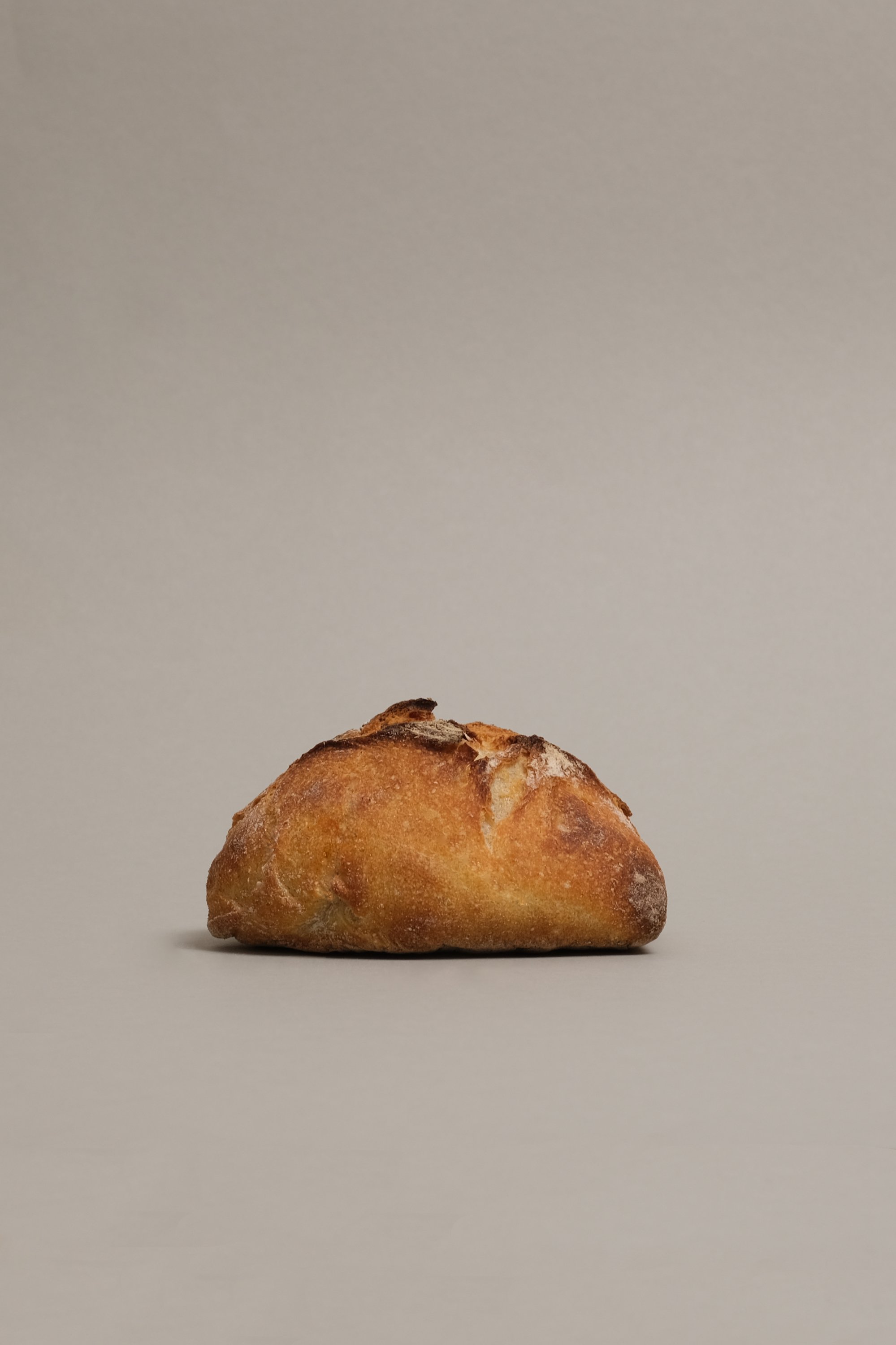 Dinkelbrötchen_01.jpg