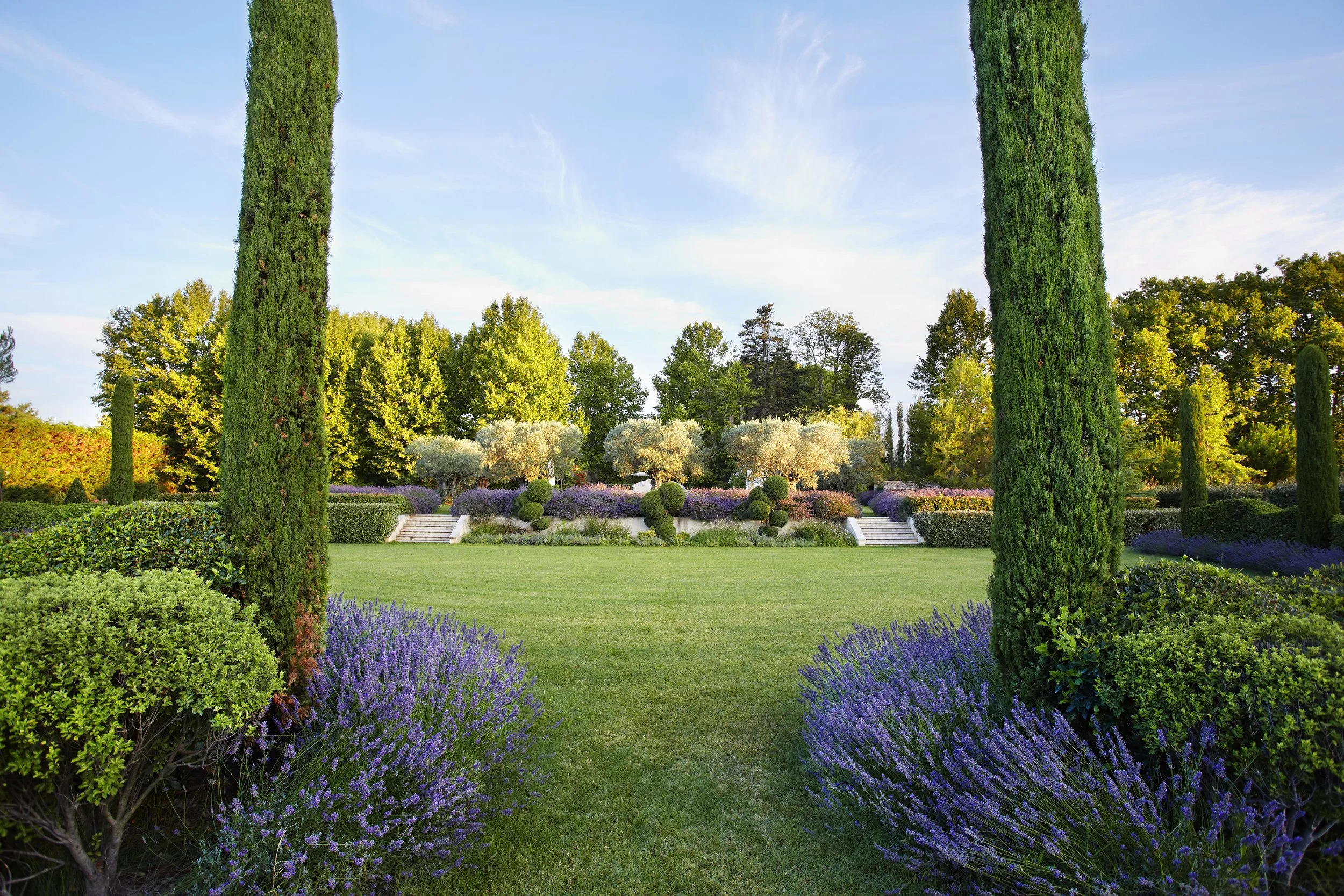 lavender_garden_2.jpg