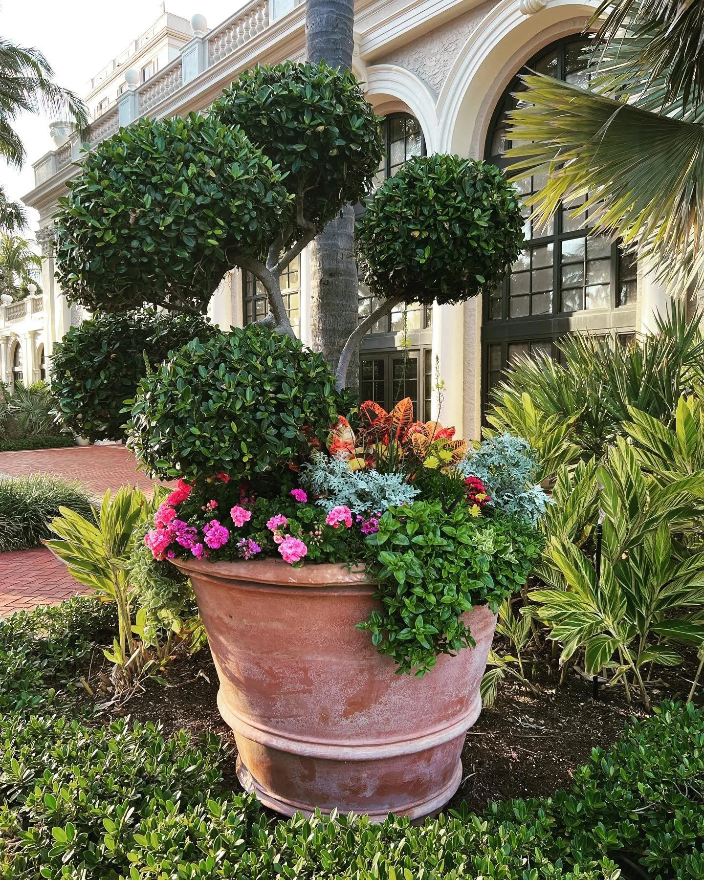 This doesn&rsquo;t need a caption &hellip; simply beautiful !