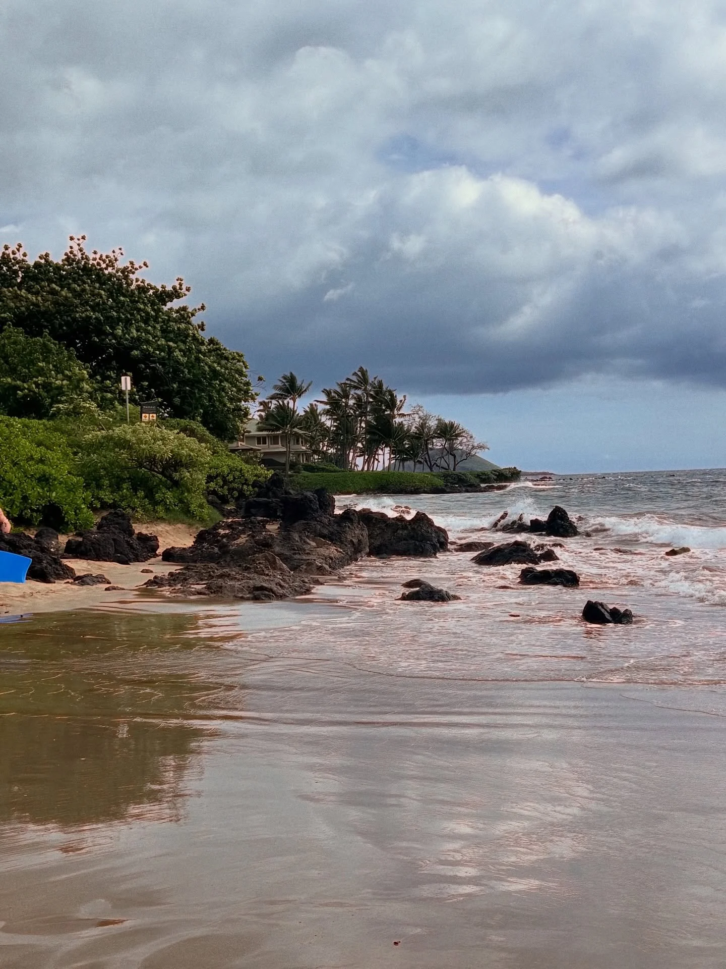 Beautiful Hawaii 🌺