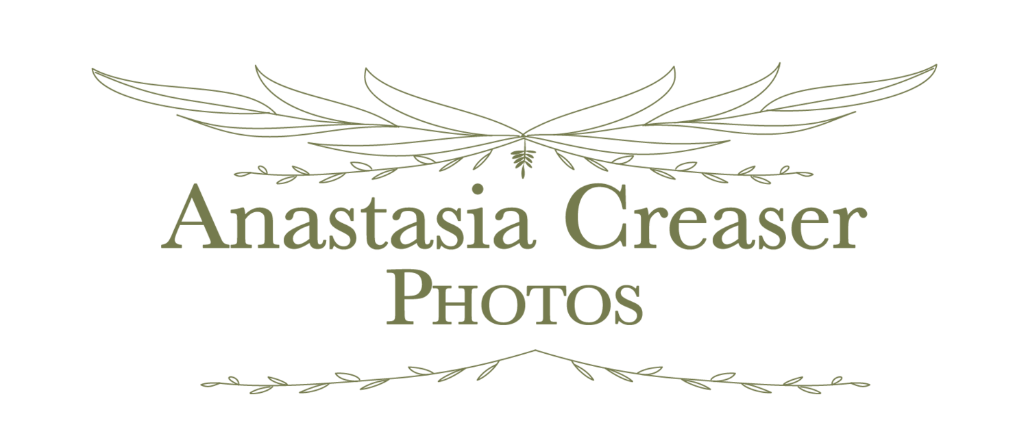 Anastasia Creaser Photos