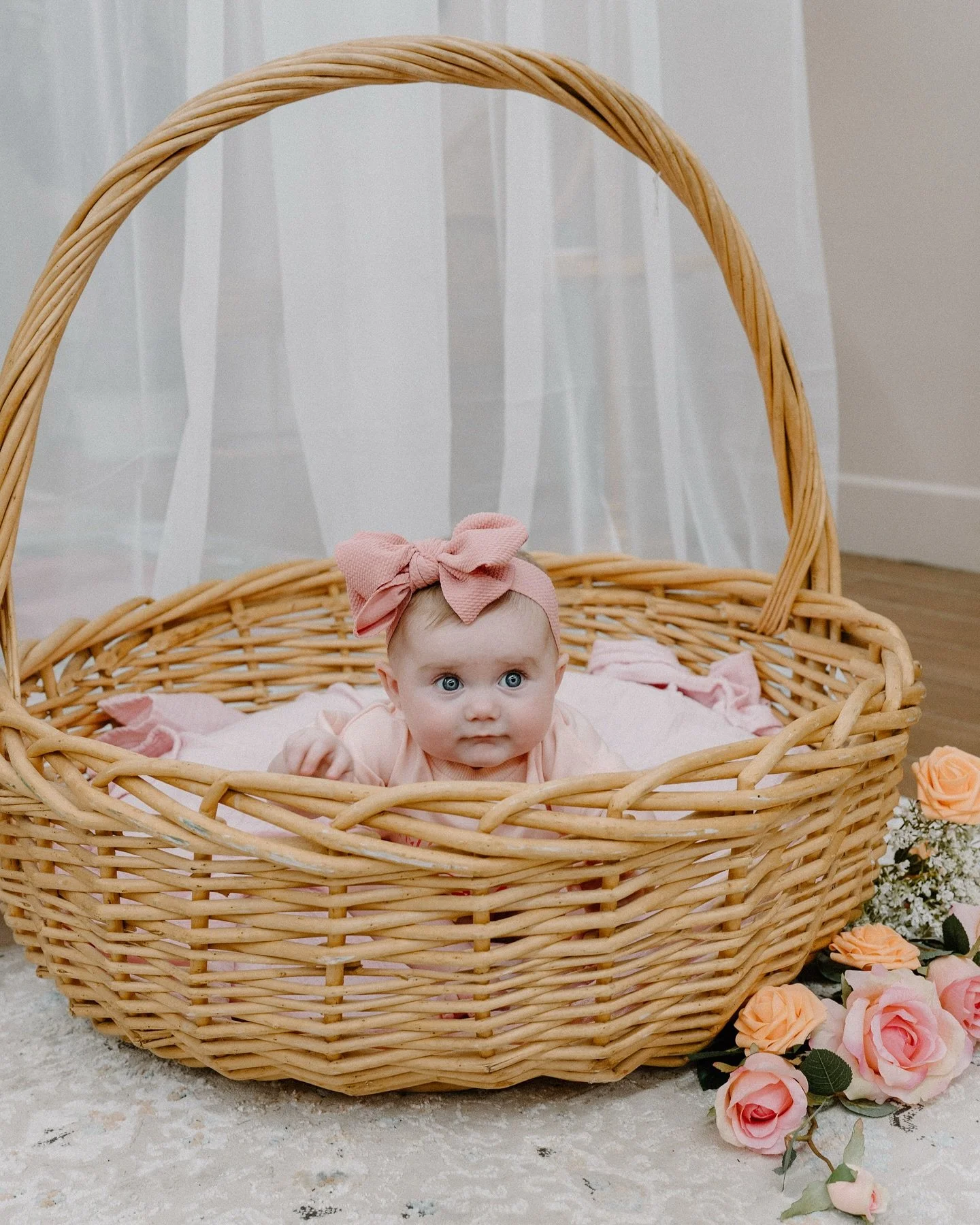 The cutest girl is halfway to 1! 💗💐

#mainephotographer #mainefamilyphotographer #mainestudio #studiophotoshoot #summerphotoshoot #theaugustroom #anastasiacreaserphotos