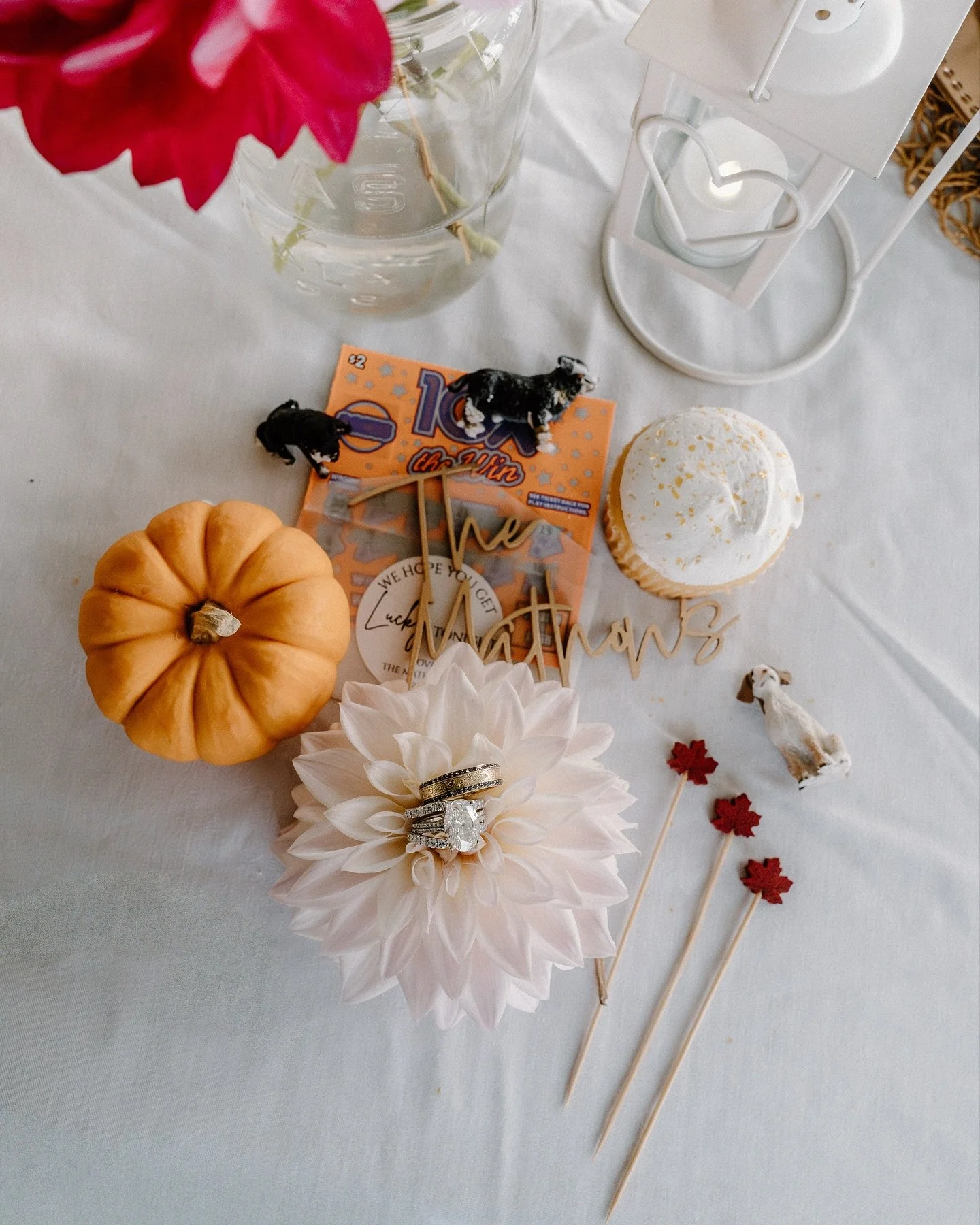 My last wedding of 2025 was the perfect day to wrap up my season. Their day was small and intimate on a gorgeous private estate. With just a few friends and immediate family, this type of wedding is my favorite. Carley and Nick laughed all day and en