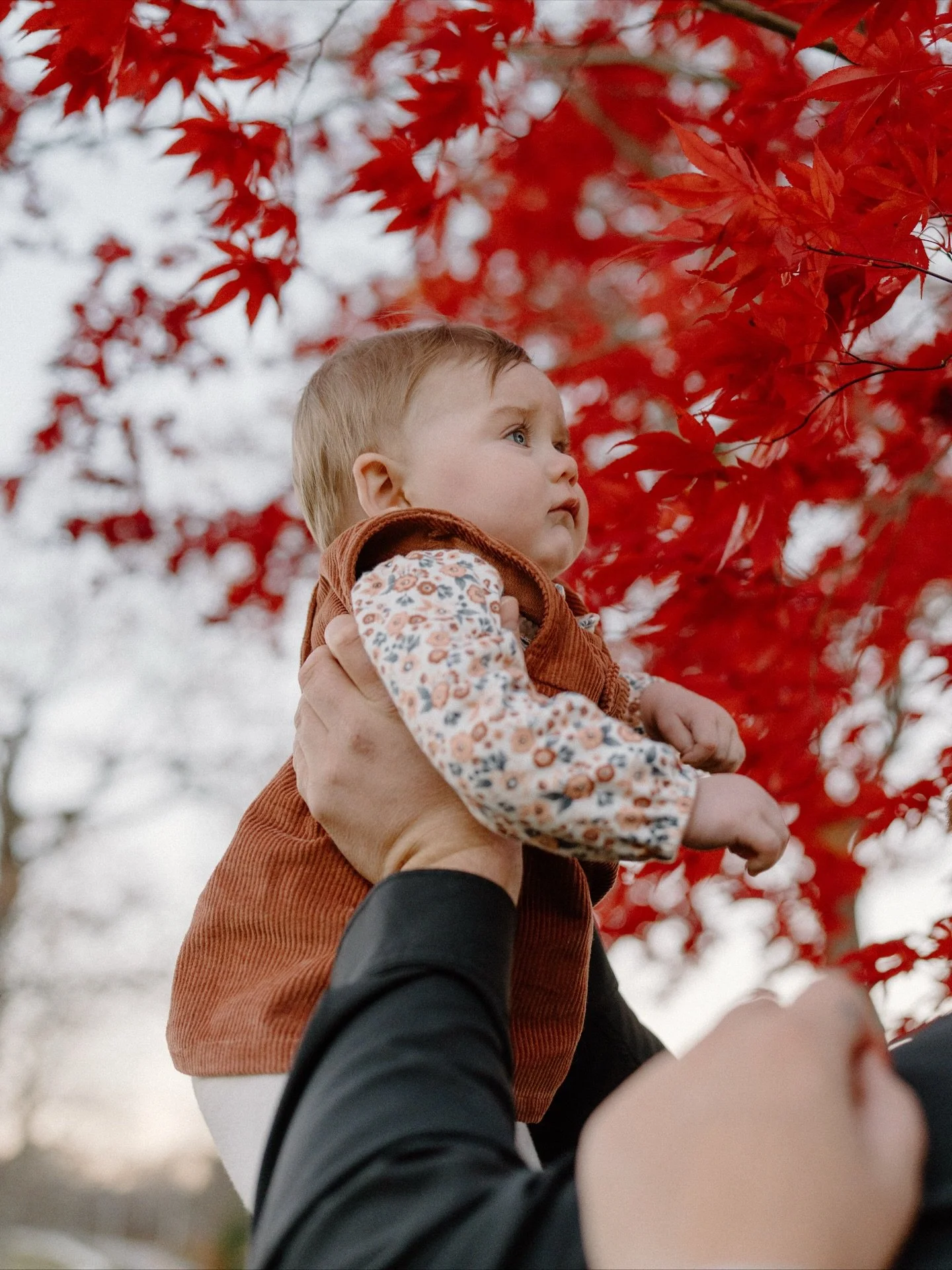Anytime this sweet family is in front of my camera, I know it&rsquo;s going to be a good session. They&rsquo;re the kindest people, and I&rsquo;m so honored to capture them through so many special moments. 🍂☀️🤍

#mainefamilyphotographer #mainephoto