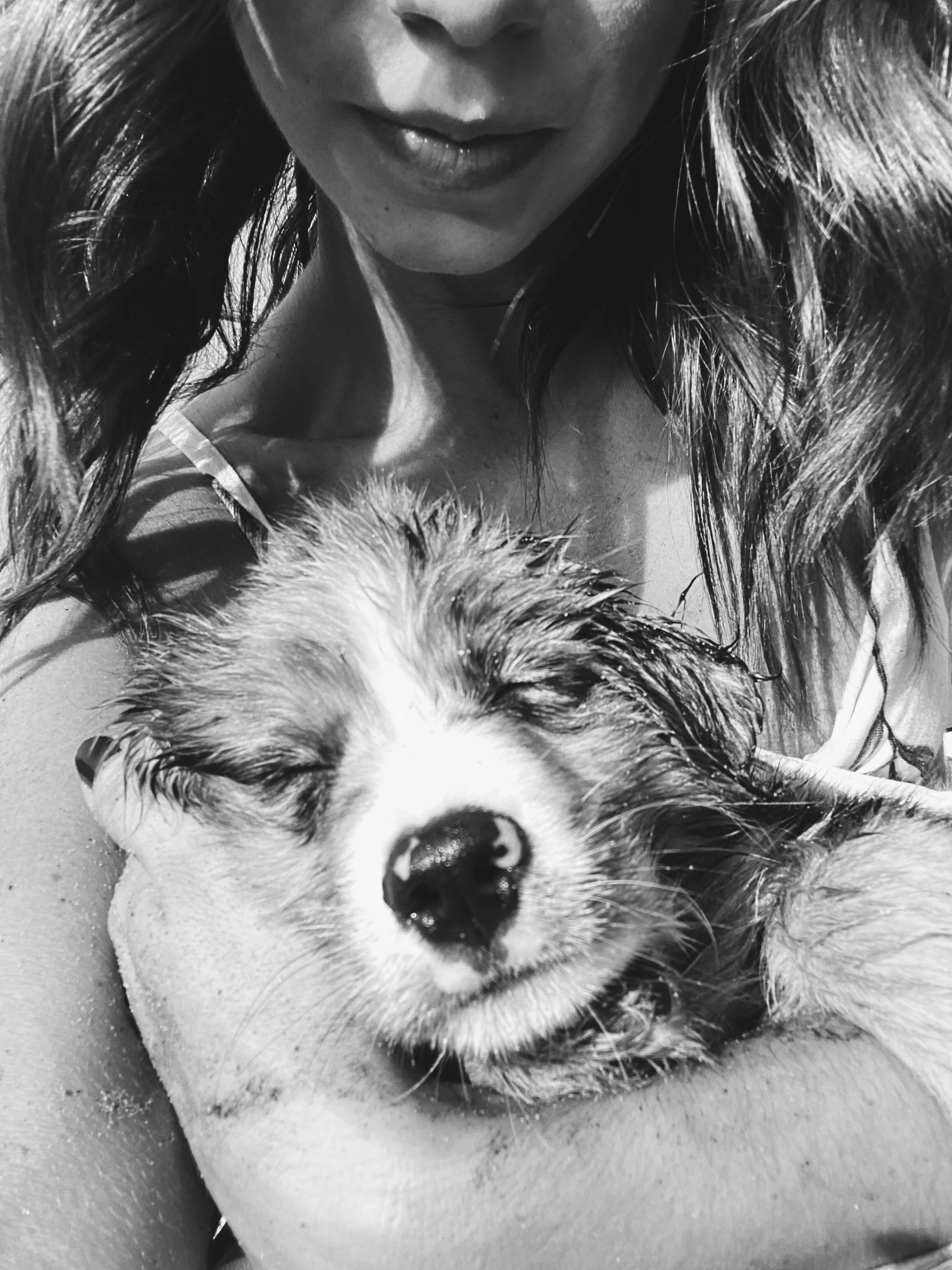 Life Lessons Through Puppy Dog Eyes