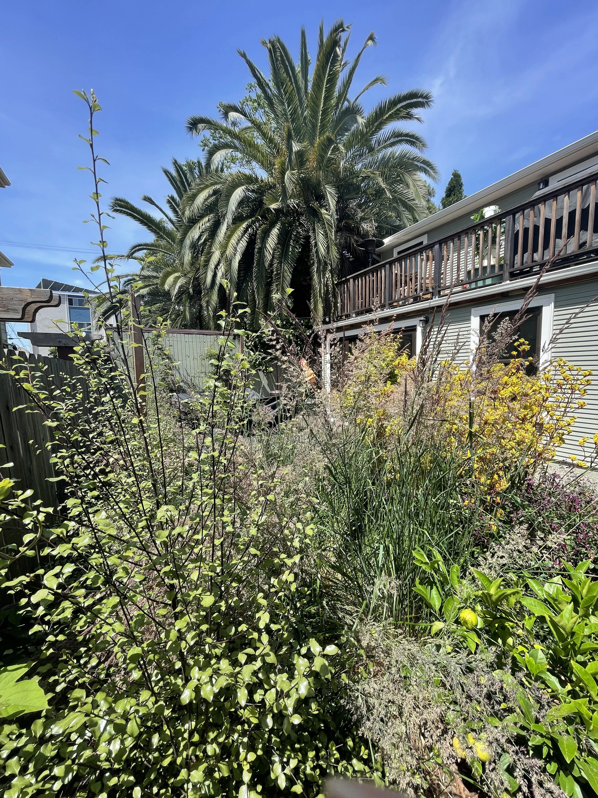 2010 7th Ave_2206073.JPG