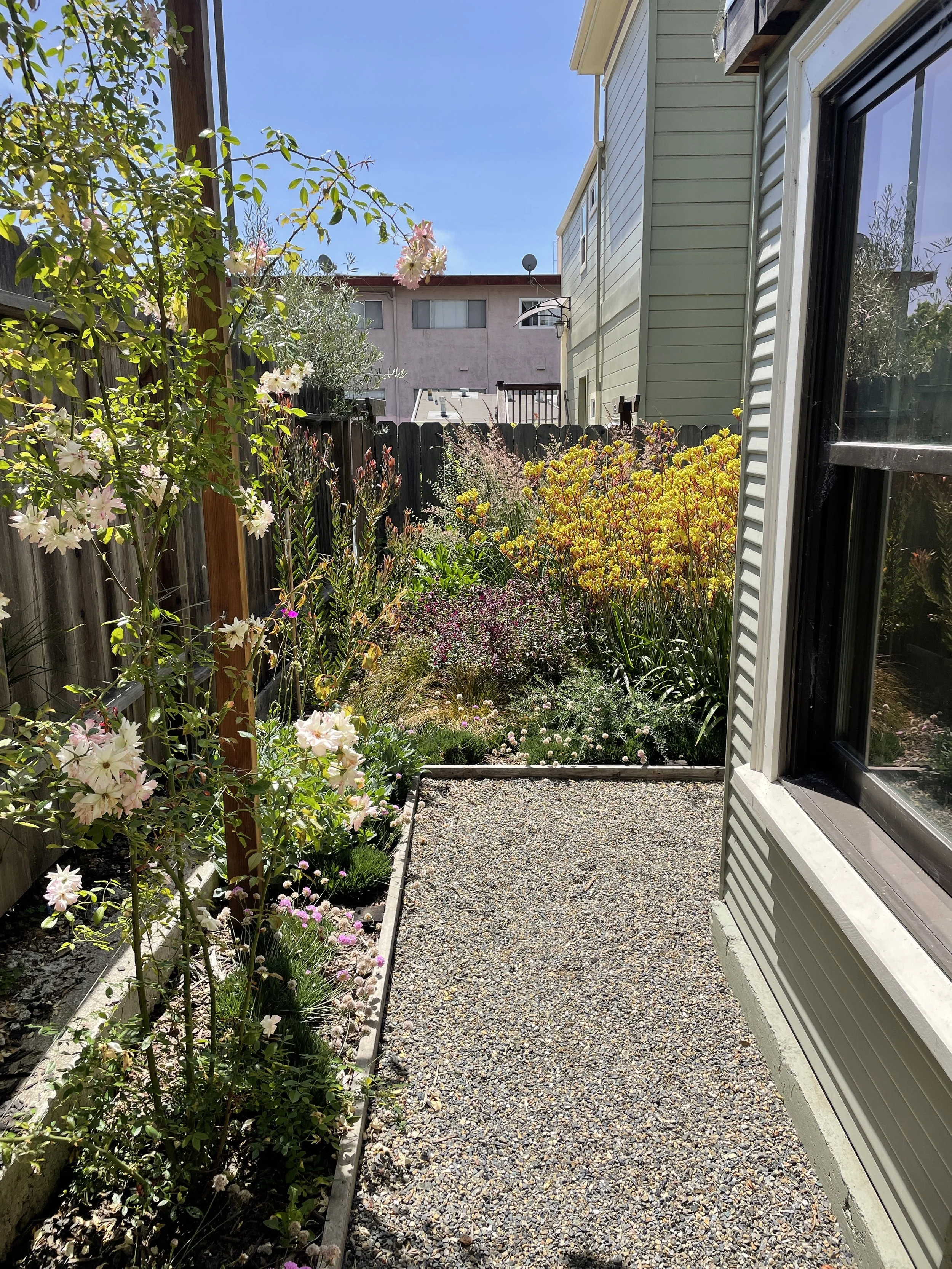 2010 7th Ave_2206072.JPG