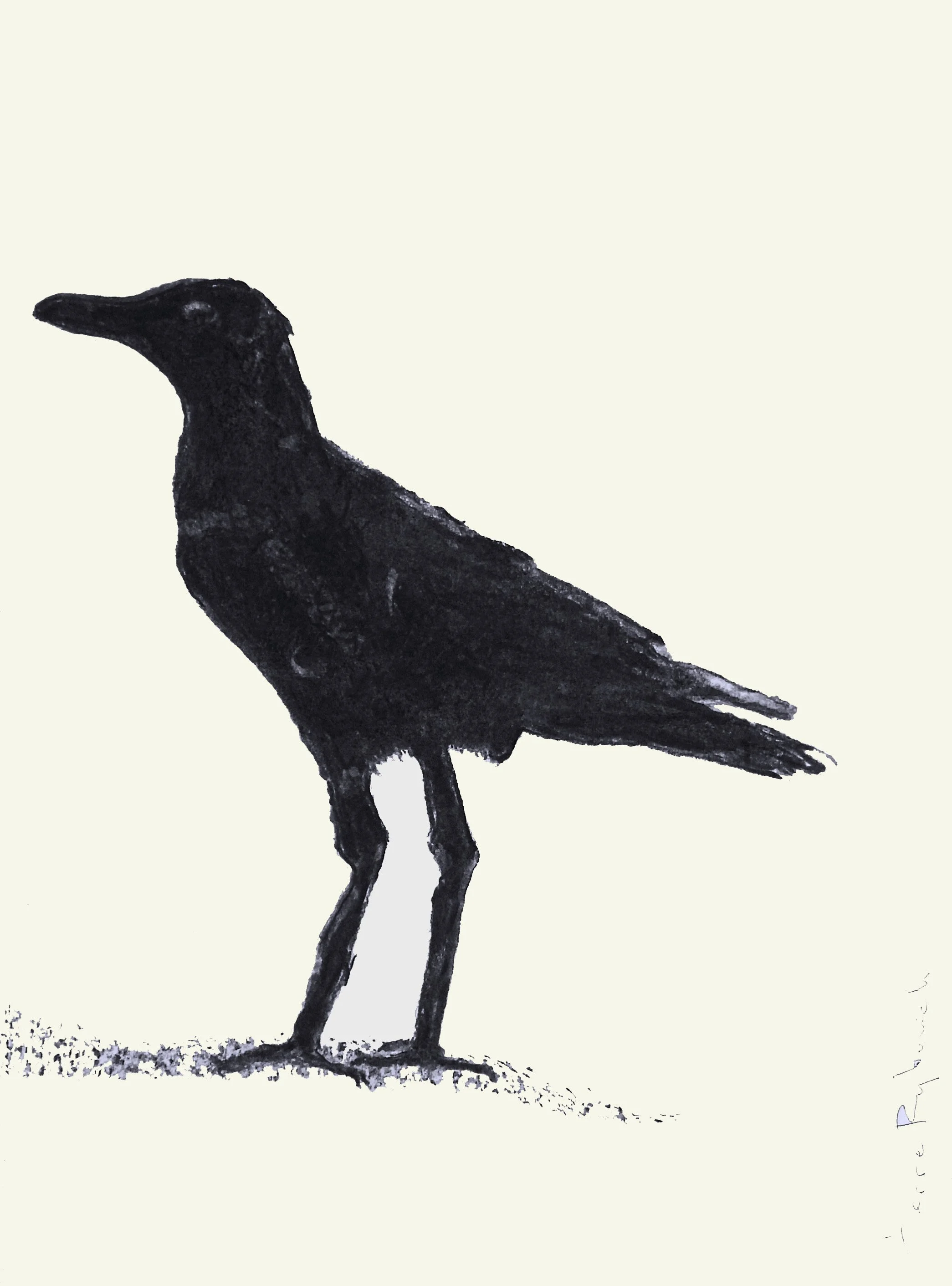 Solo Black Crow | charcoal & pastel on paper | 18"x14" framed