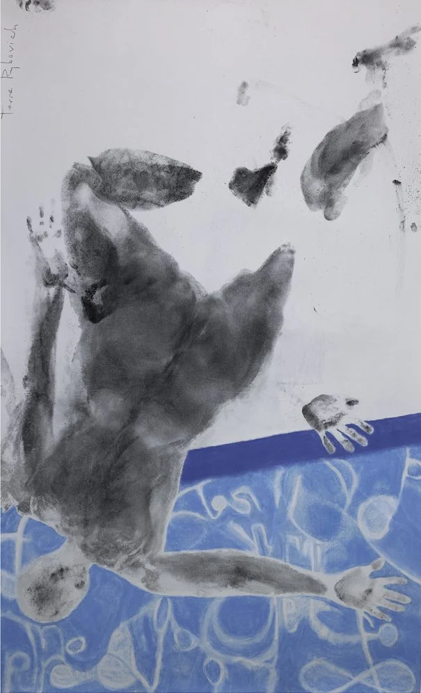 TRybovich_ToSwim_2024_Charcoal.Pastel.jpg