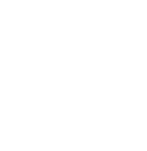 Logo White