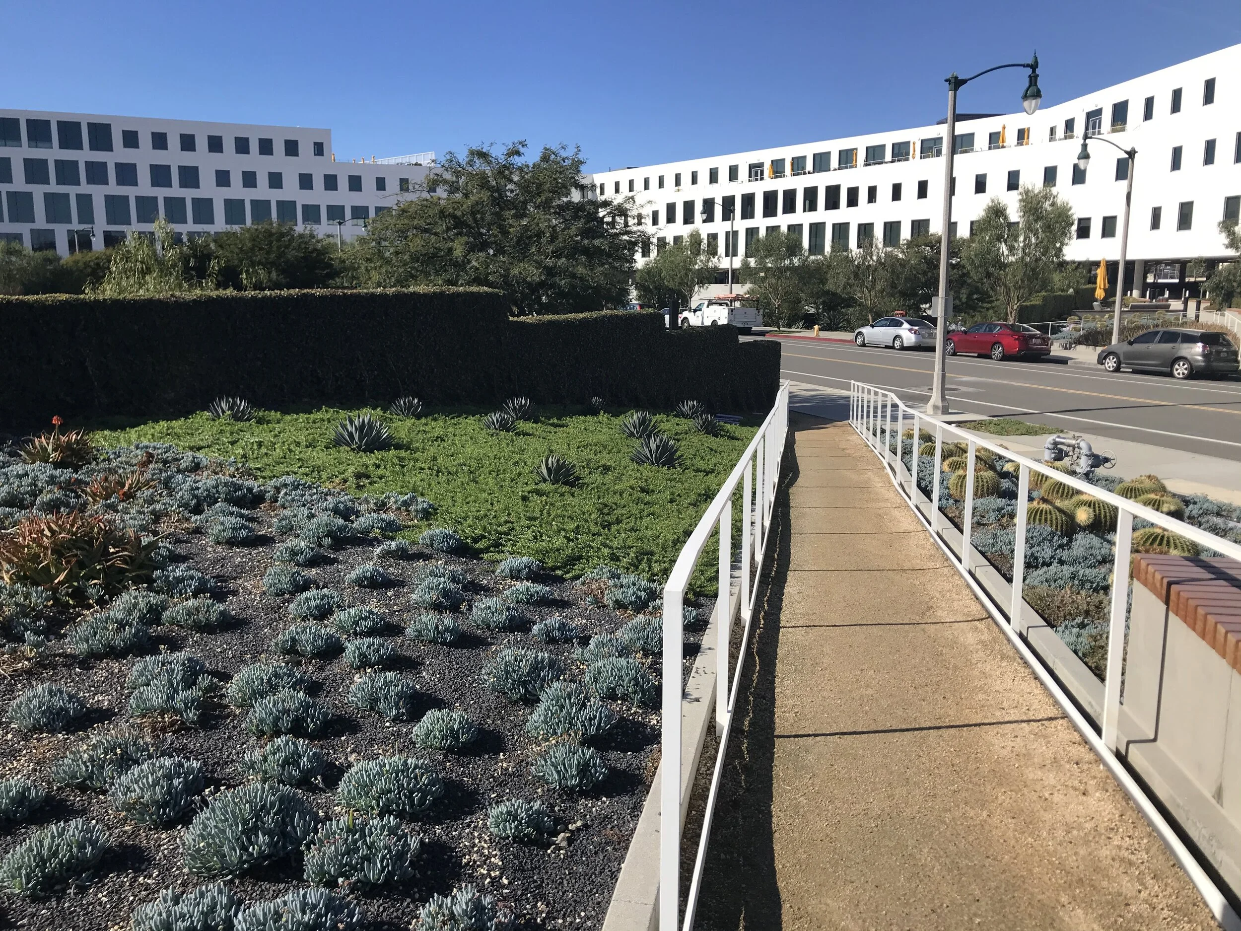 Copy of PV-IMG_3083.JPG