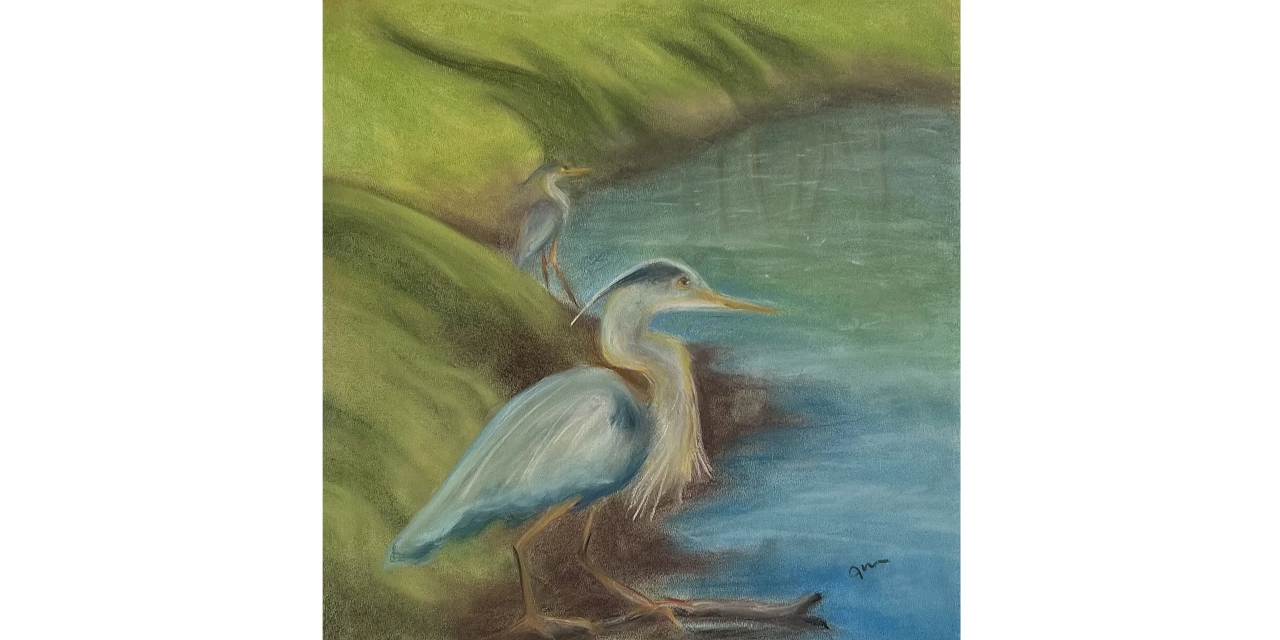 blue heron