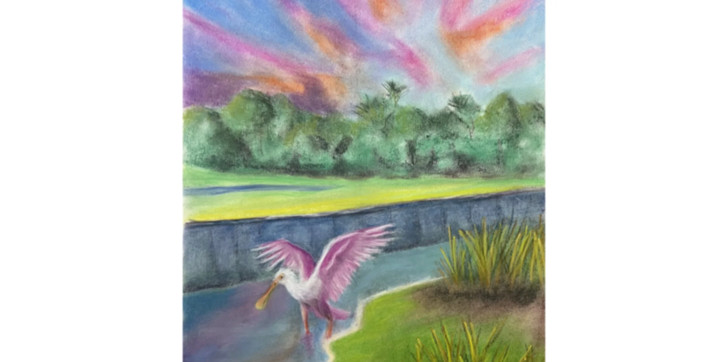 roseate spoonbill