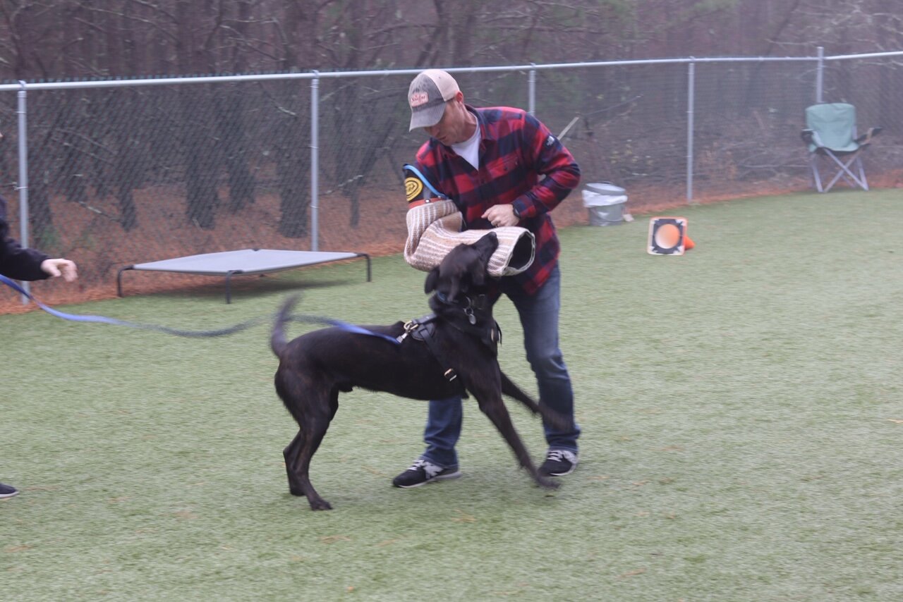 About 1 The Trainer K9 Services