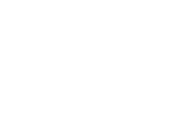 The Athlete&#39;s Guide