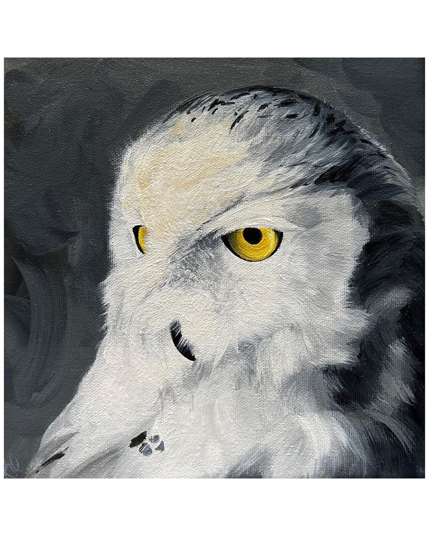 A very special commission as a gift for an executive&rsquo;s retirement. ❄️

&ldquo;Le vol du nord&rdquo;
8&rdquo; x 8&rdquo;
Acrylic on canvas

L&rsquo;hargang des neiges, the snowy owl, was adopted as Qu&eacute;bec&rsquo;s official bird in 1987. It