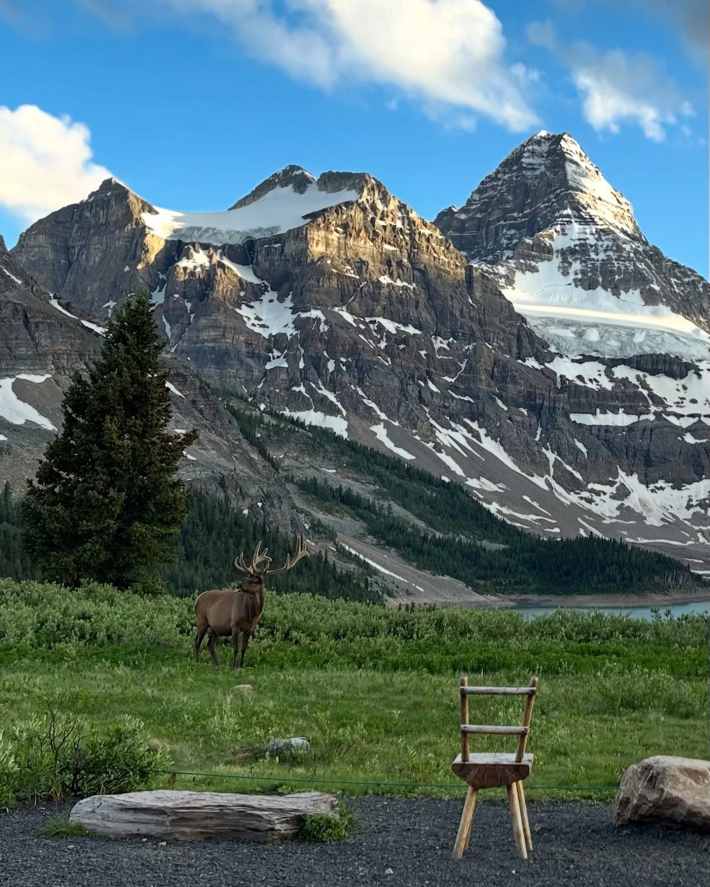 SNEAK PEEK: 2025 Assiniboine Artist Residency (self-directed) with @austenfineart and @amandareberart at @assiniboinelodge. In short: spectacular. More to come. Stay tuned. Until then, enjoy this gem from our stay.
.
.
.
#artresidency #artretreat #As
