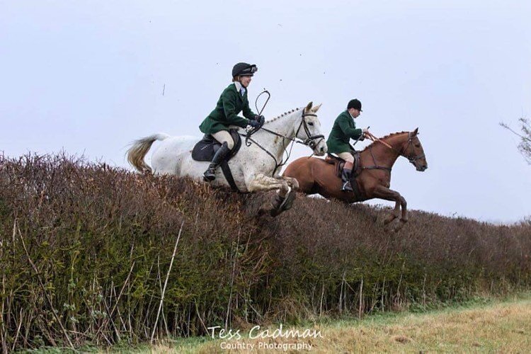 Are you ready for hedge hopping?! 
This Sunday we meet at Semer- expect gorgeous country and hedges for miles! 
We hope to see you there. Tickets are available to purchase on our website- make sure to book soon! 💚🐴