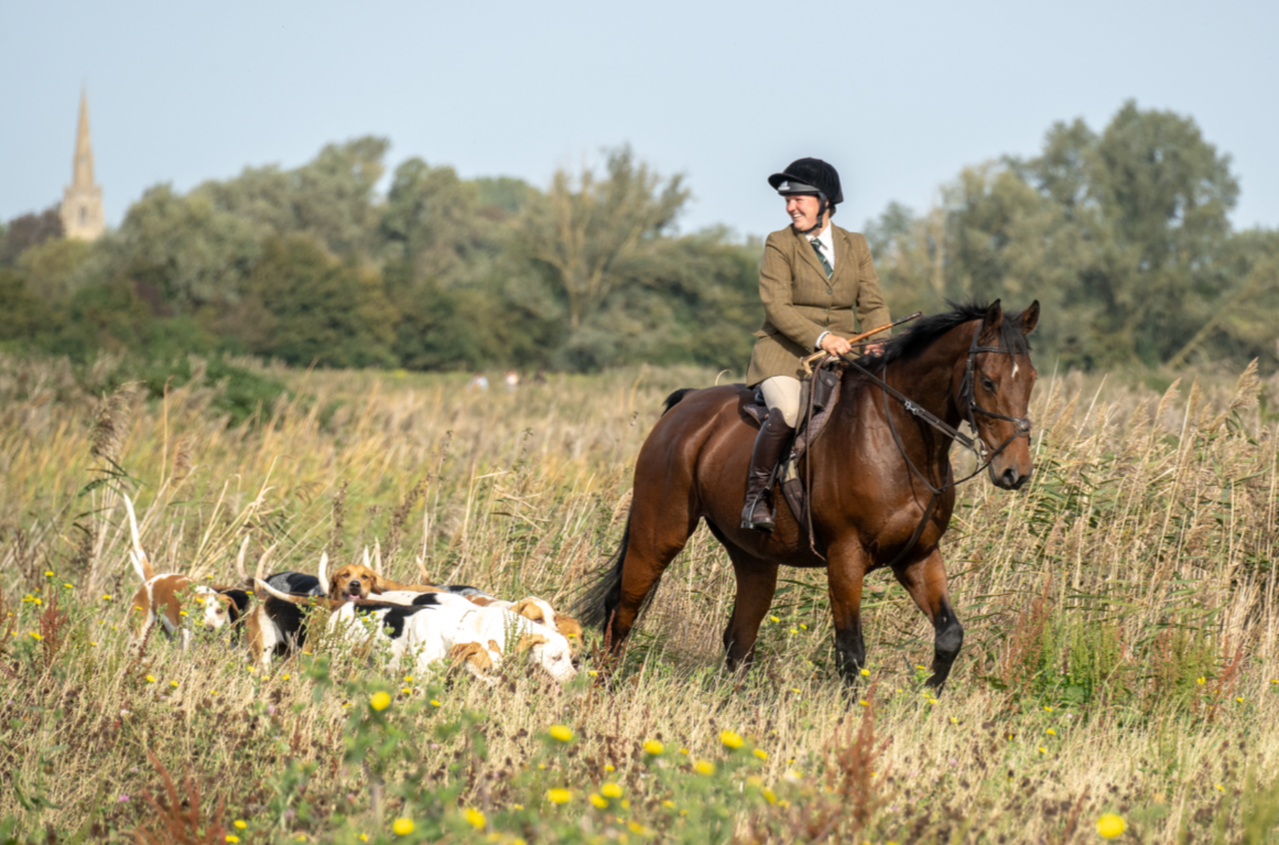 Hound Exercise - Swavesey, Cambridgeshire - 21 September