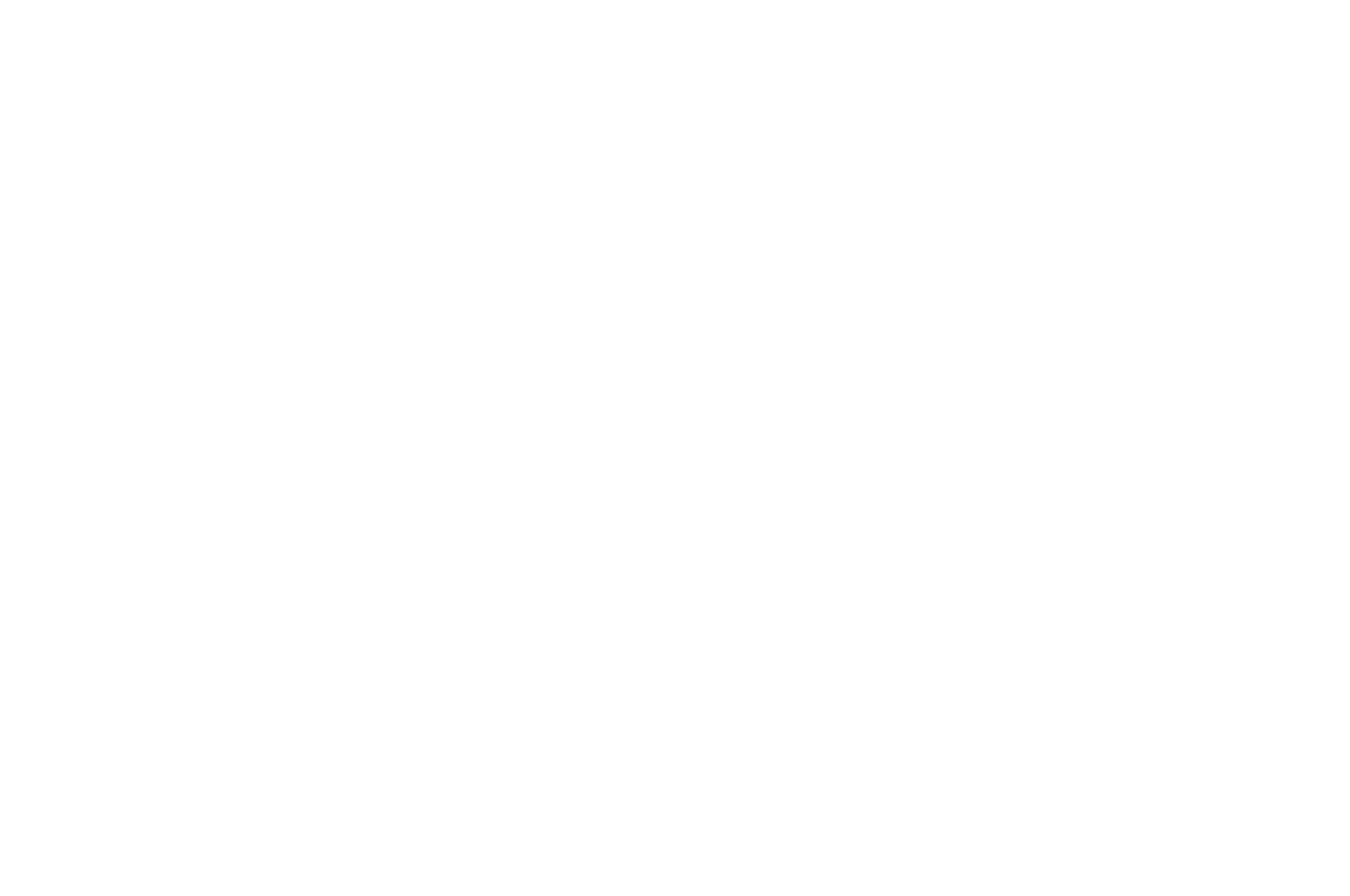 OFFICIAL SELECTION - FactoryFest - 2025.png