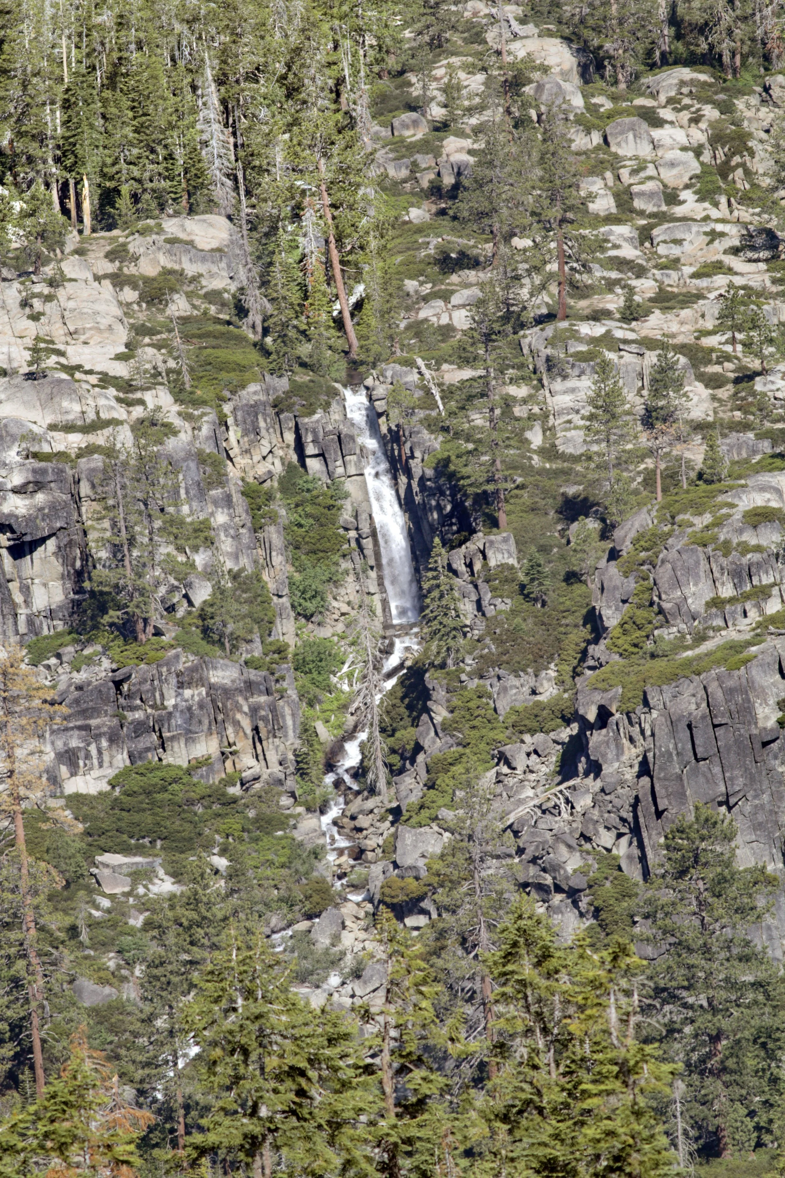 Wildlands of Upper Carpenter Valley Protected Forever