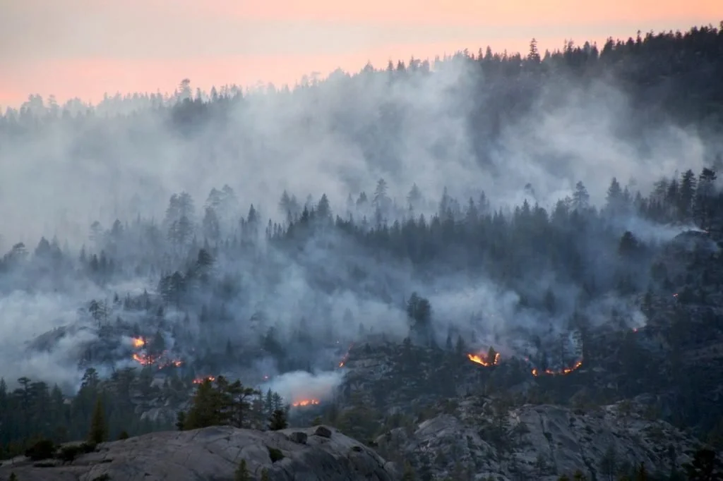 Mobilizing for a Safer, Healthier Future