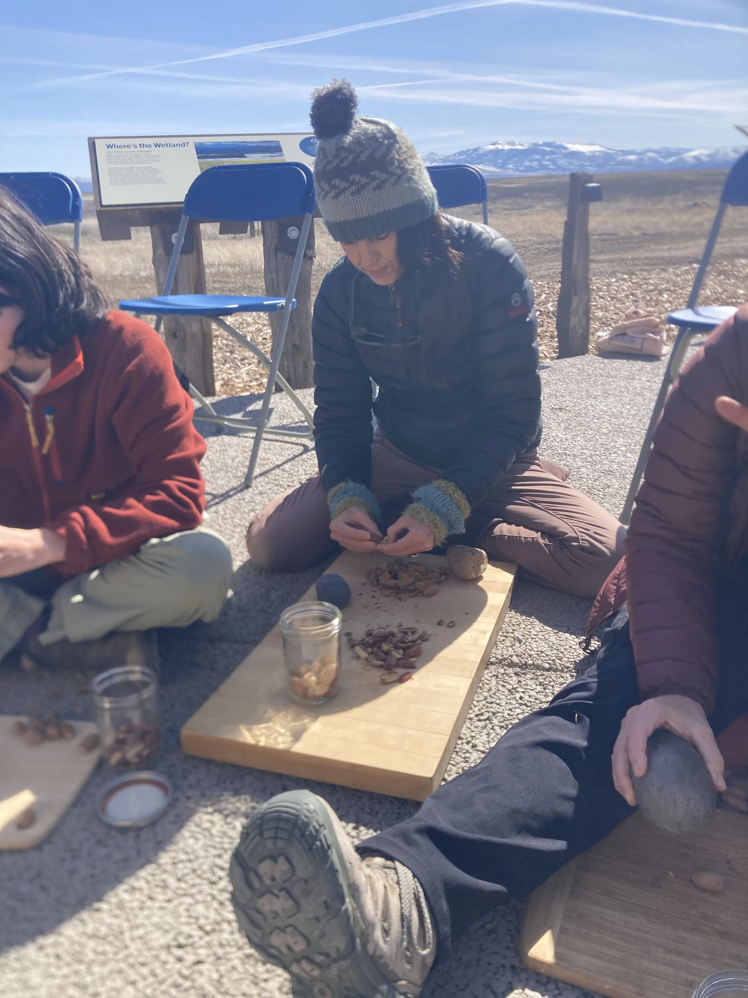 Acorn harvesting.jpeg