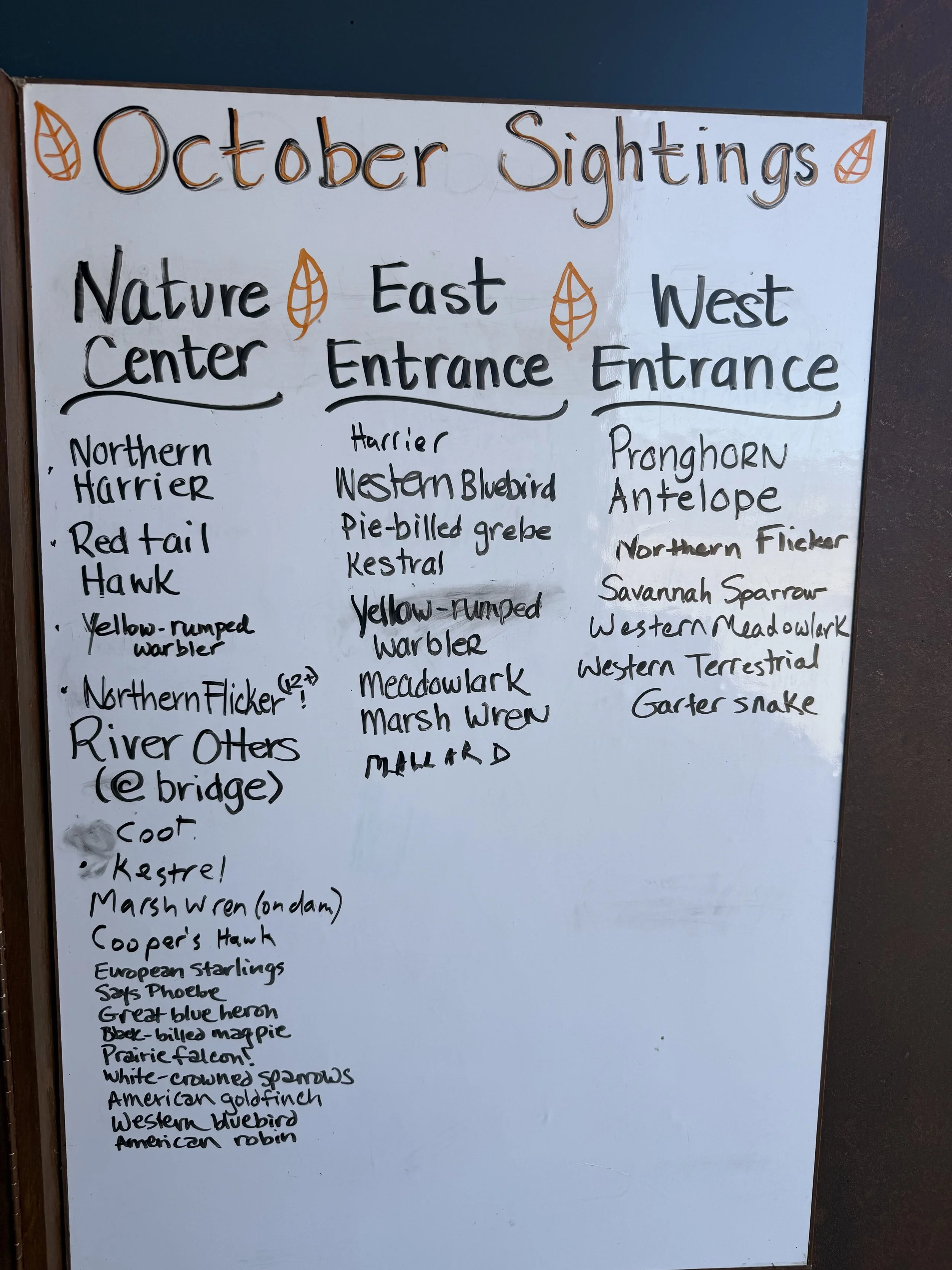 October 2025 Sightings.jpeg