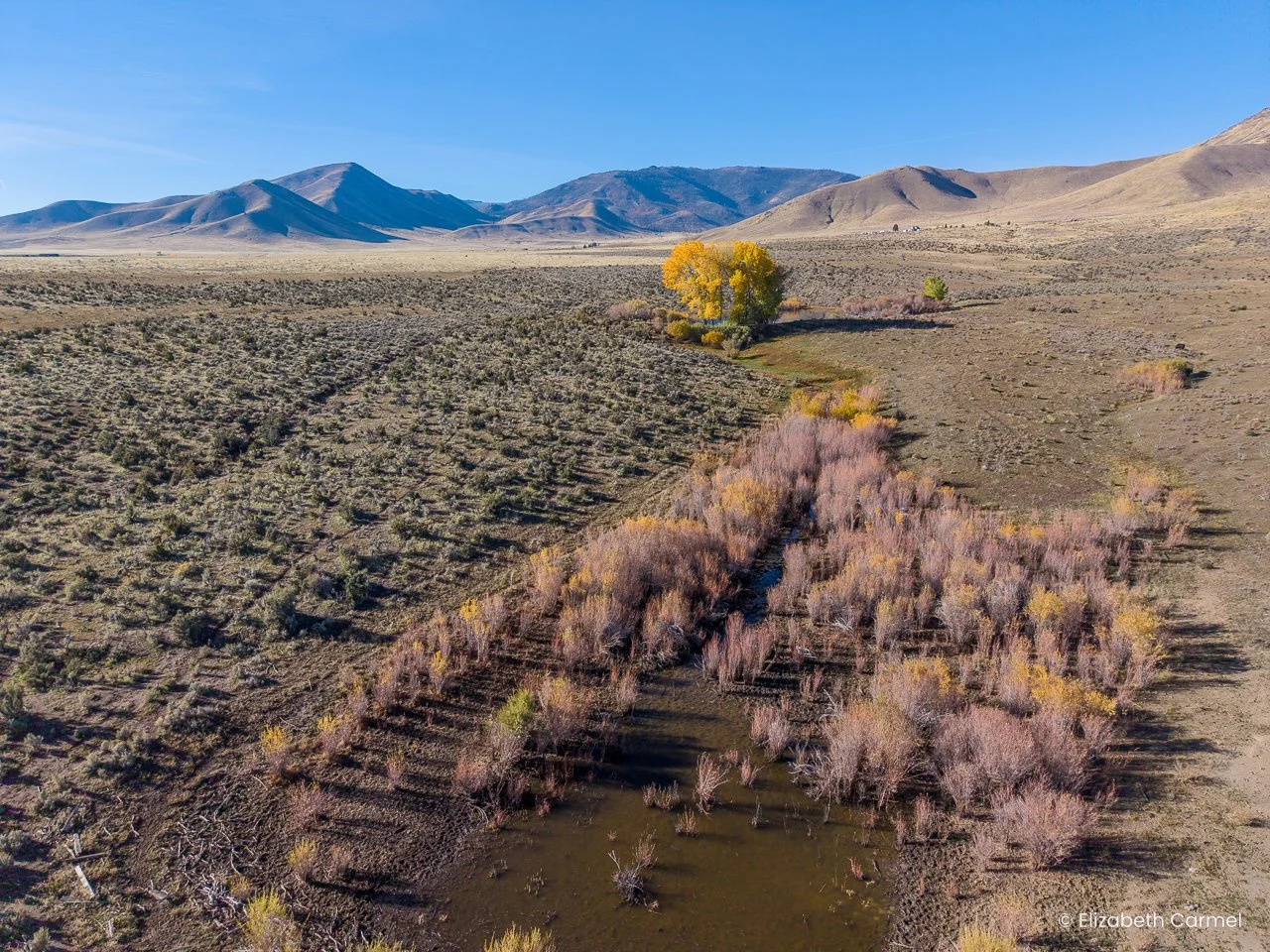 Eastside in the distance.jpg