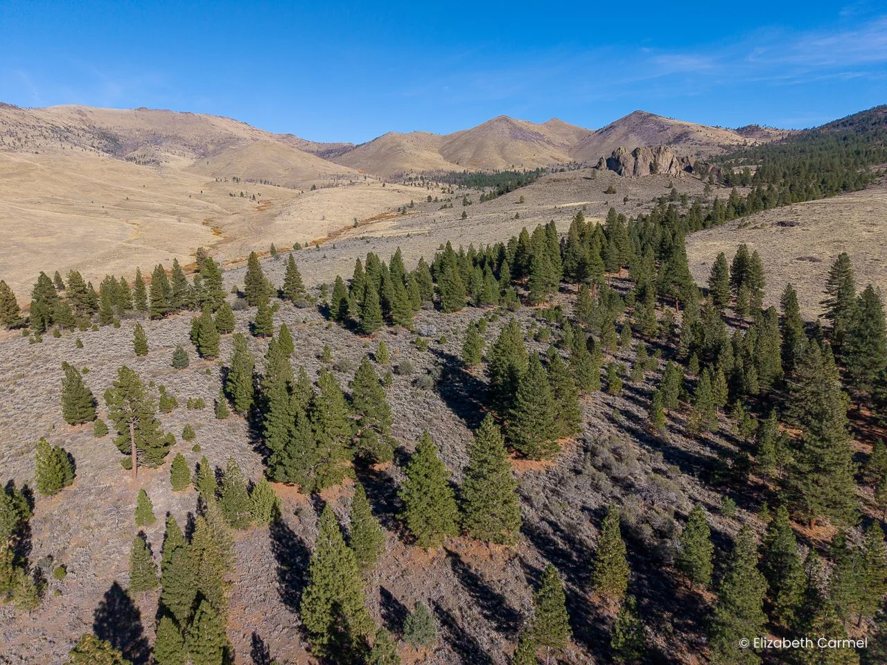Four-year Partnership with Washoe Tribe&nbsp;Results in&nbsp;Largest Indigenous Land Return in Sierra History