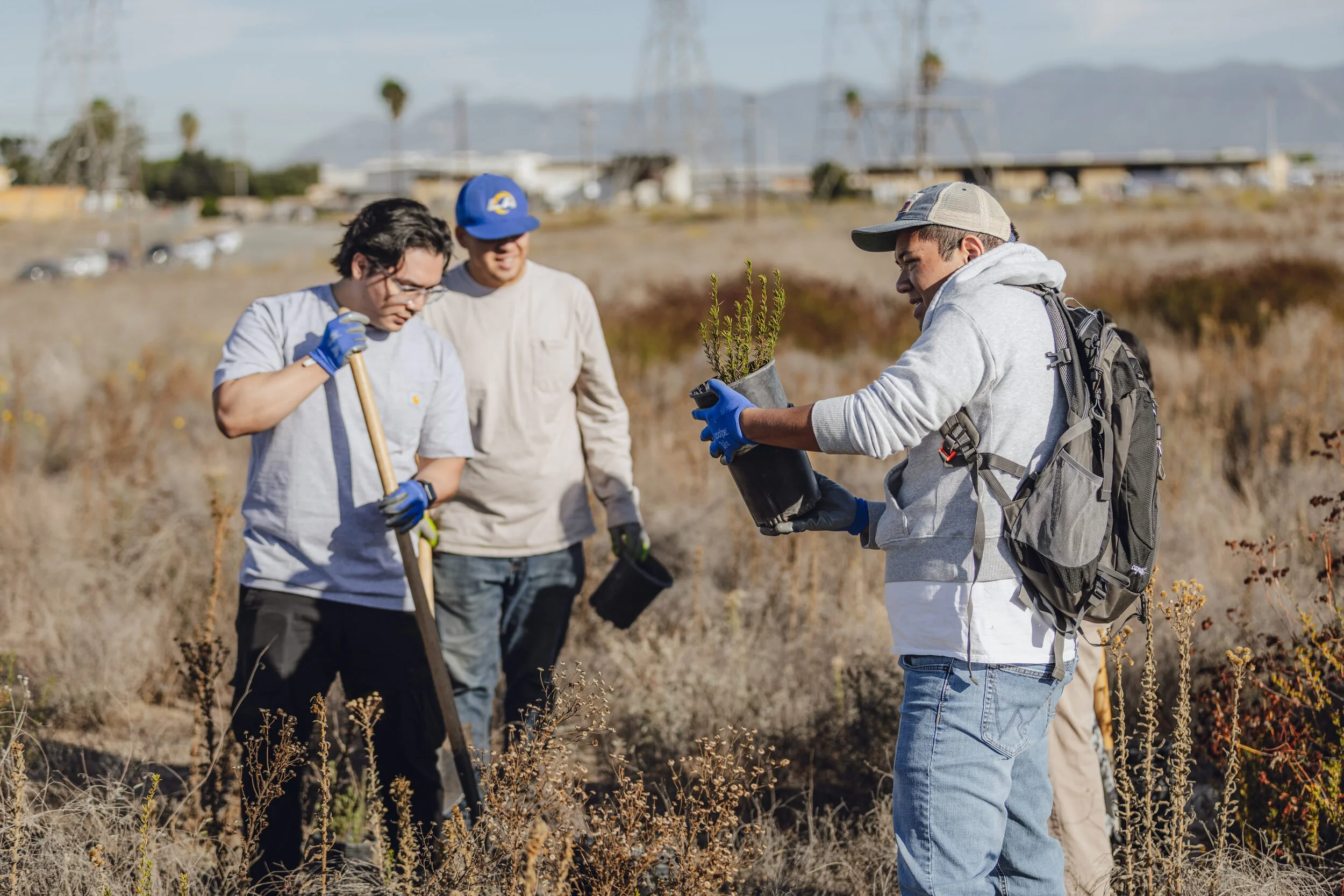 Student volunteers from Moreno Valley College pot California buckwheat for transfer to another property. Colton, CA, October 25, 2025.